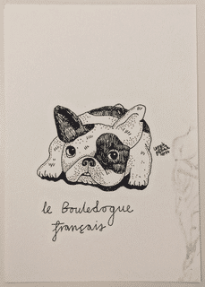 french-bulldog-2014-poor-quality-photo
